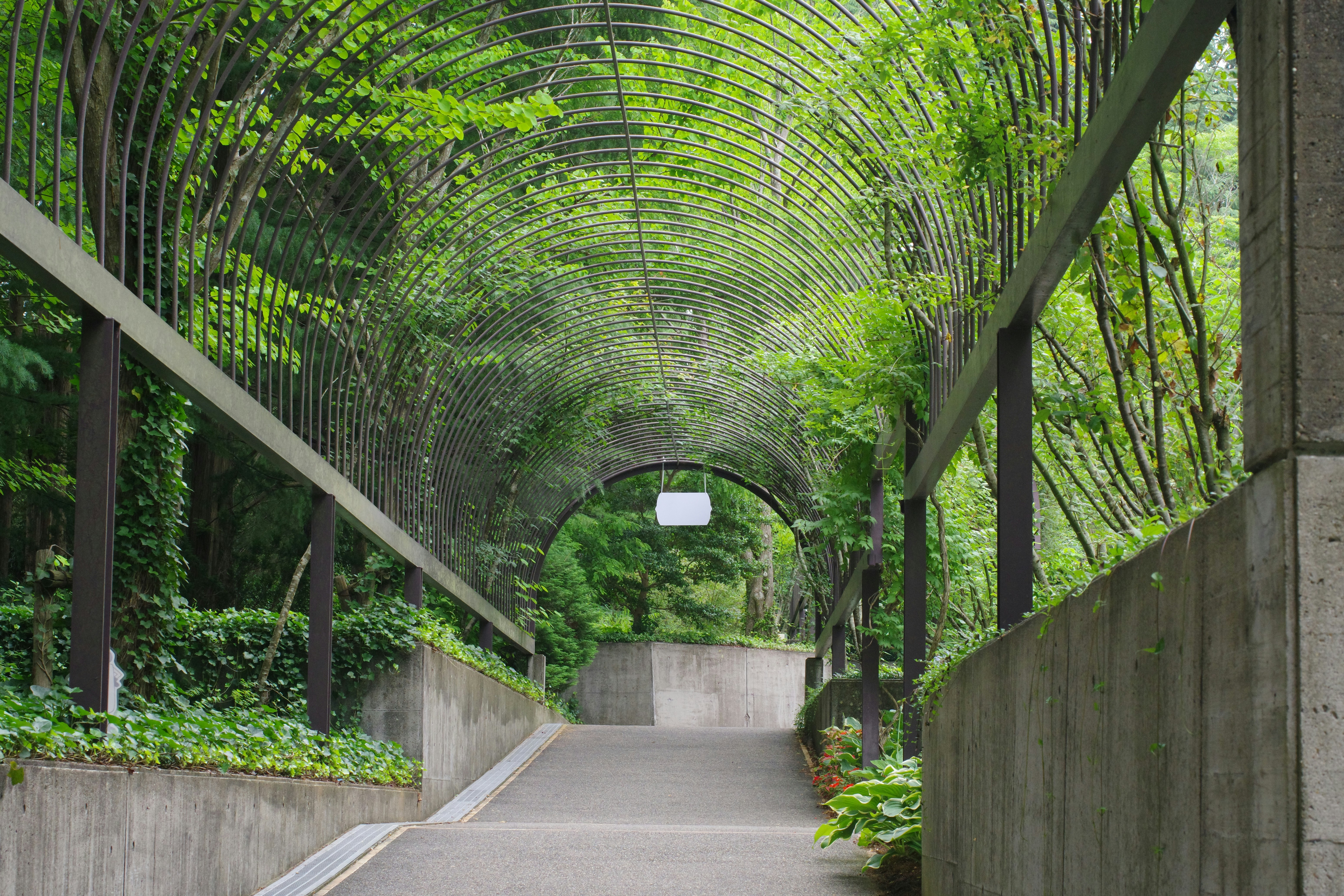 都心部のアスファルトに覆われた道路と、郊外の緑豊かな公園の比較写真