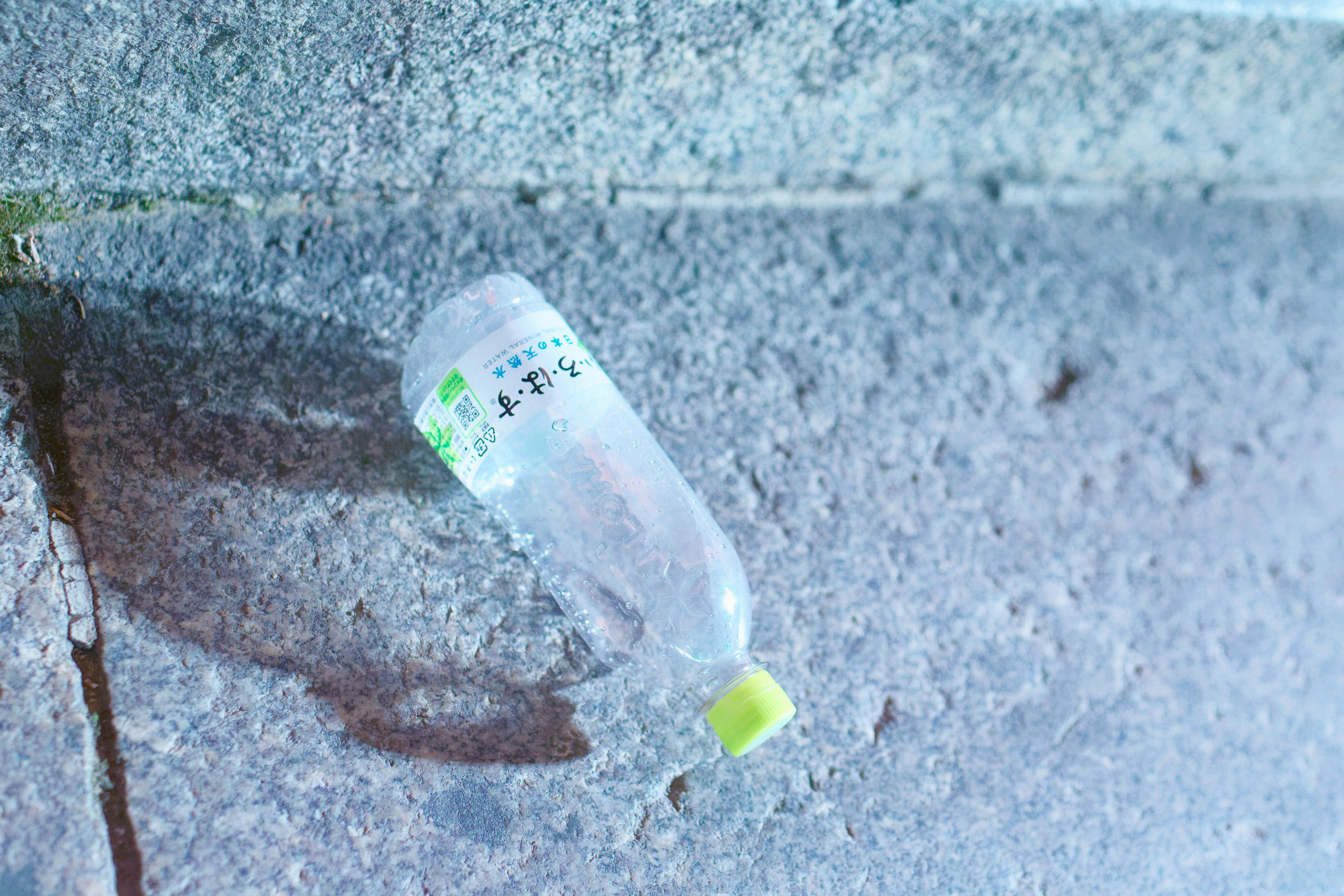 海岸に打ち上げられた大量のプラスチックごみの様子