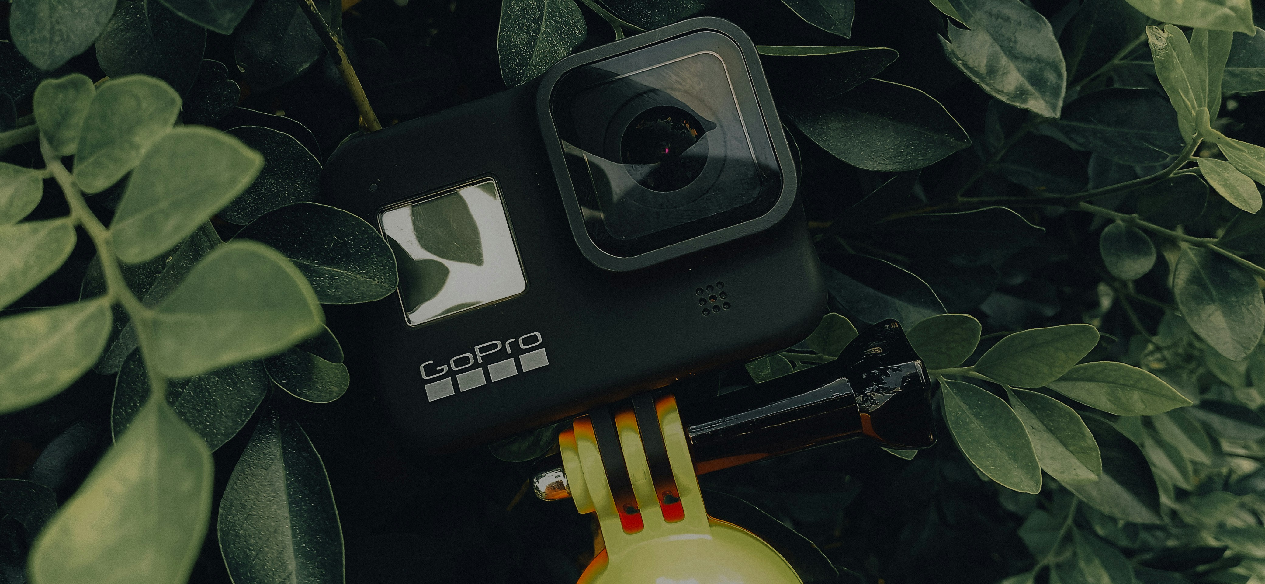 道路が冠水している写真