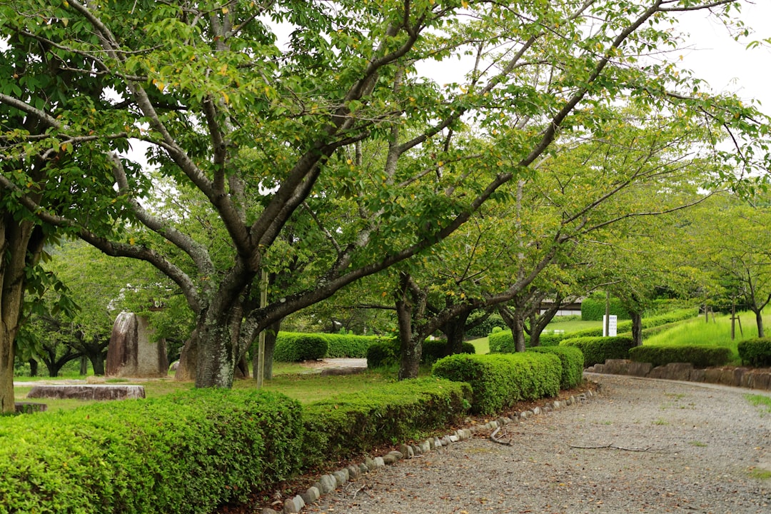 ベランダでプランターを使って野菜を育てている様子