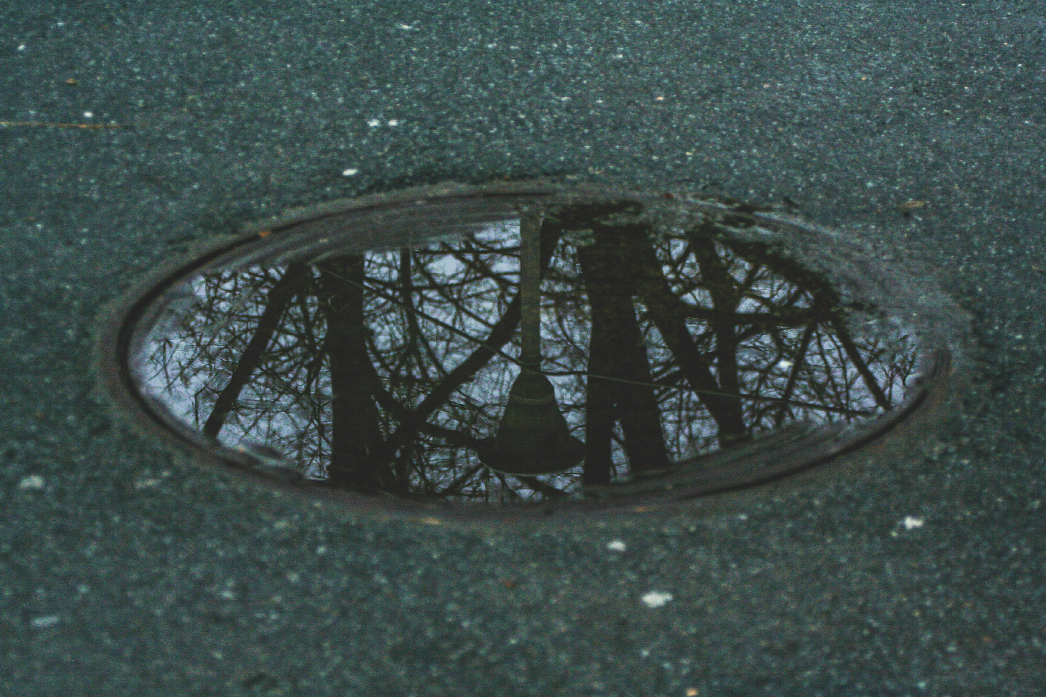 秋田県で記録的な大雨が発生し、住宅地が浸水している様子