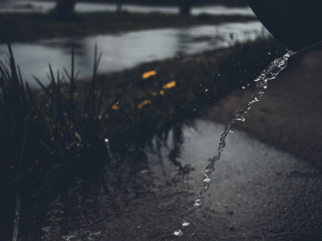 アクティブラーニングの様子