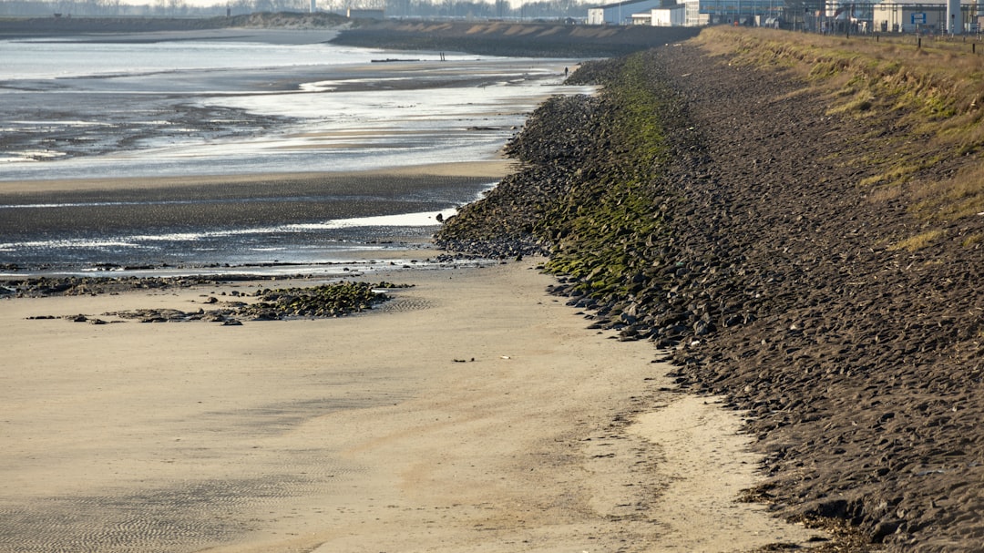 環境保護を訴えるデモの様子
