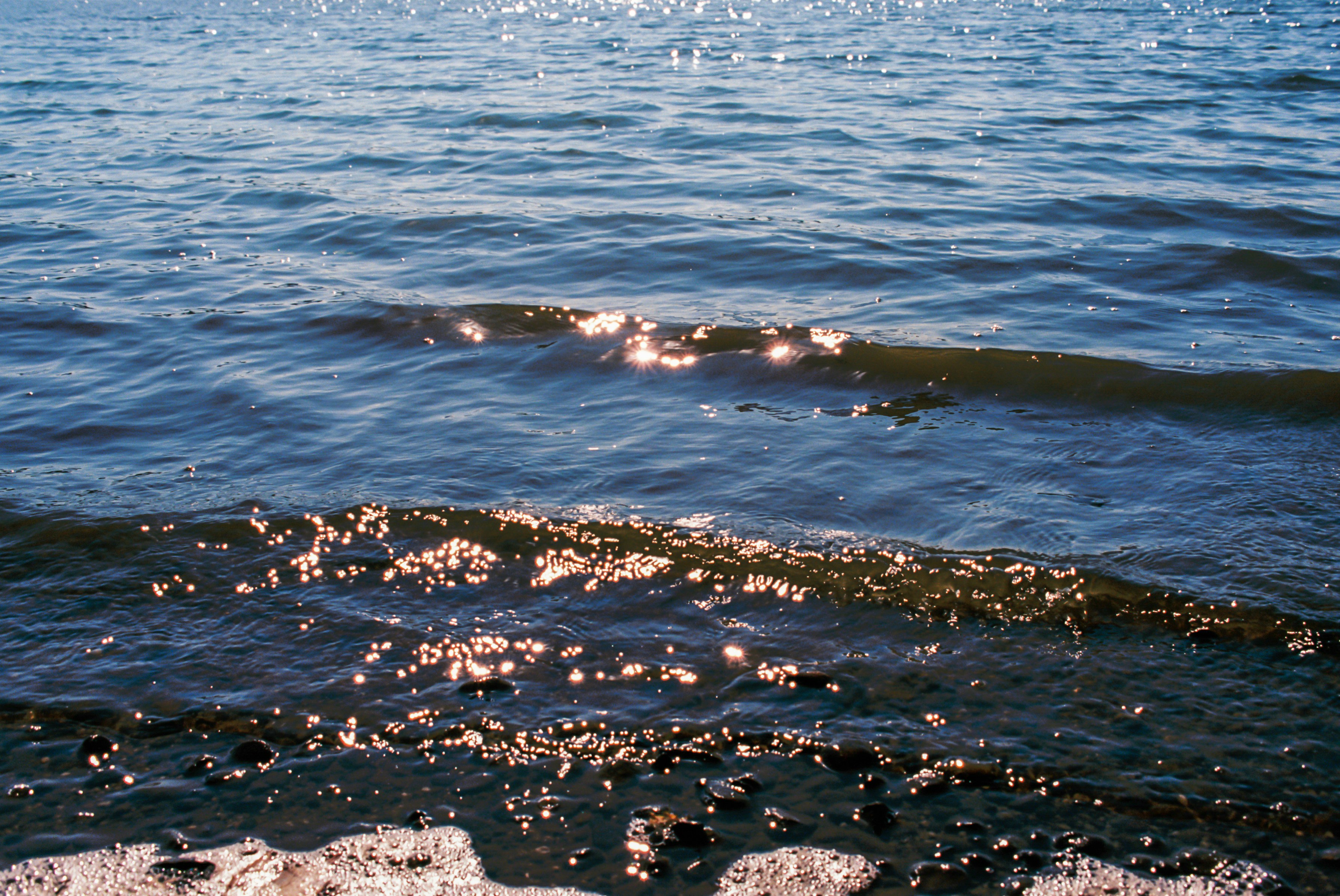 多様な世代の人々が協力して植林活動を行っている様子