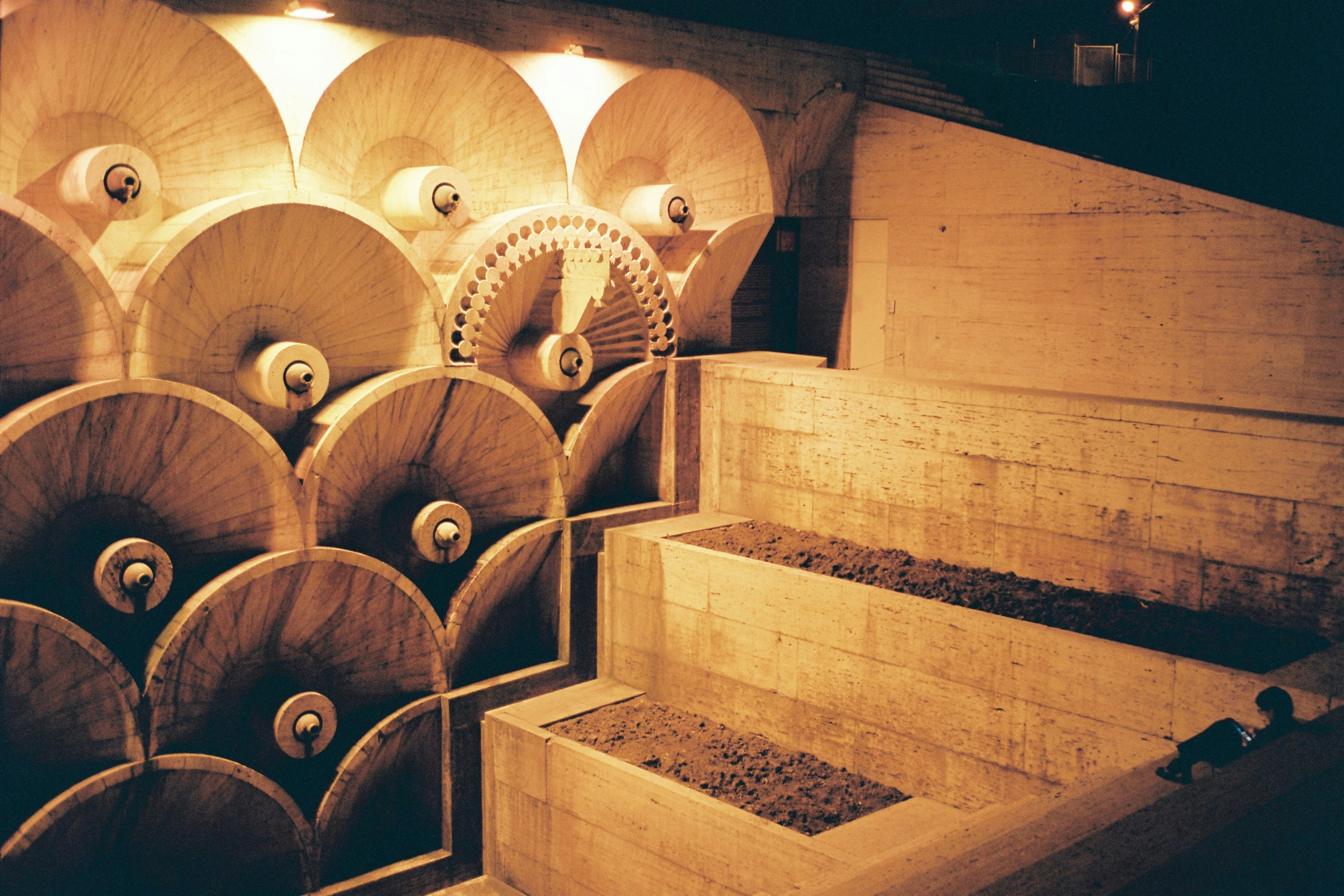 熱帯雨林の伐採跡地