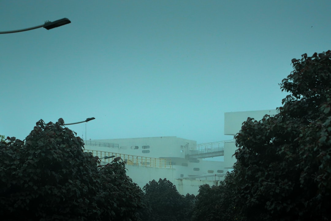 再生された里山で、子どもたちが生き物観察をしている様子