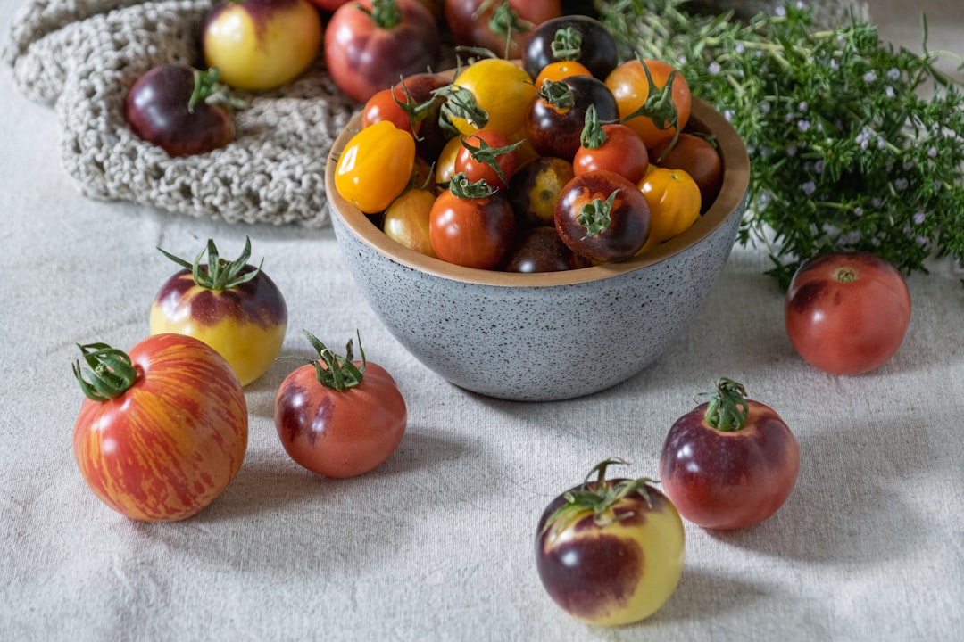 自治体の環境に関する相談窓口