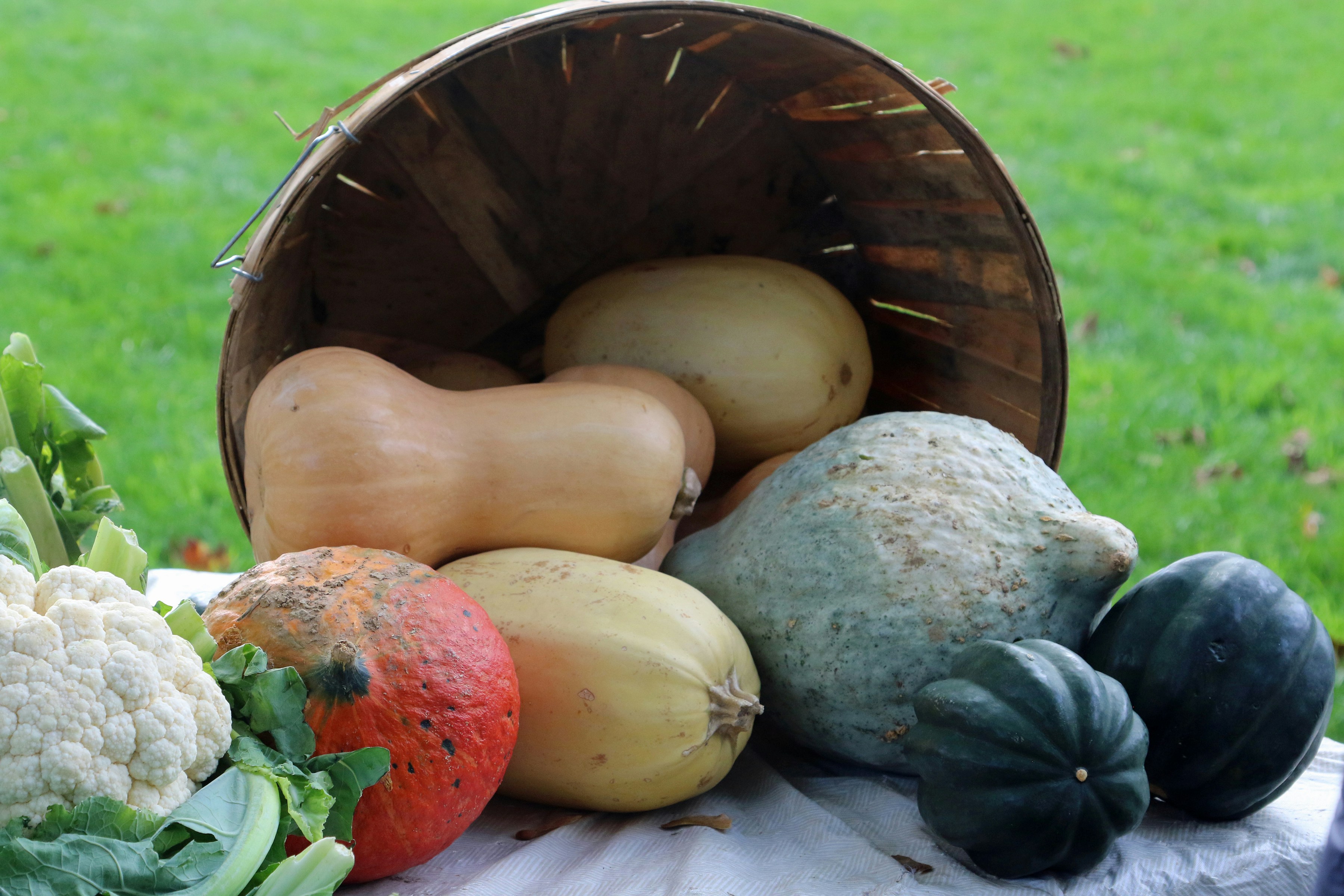 実際に使用している食品廃棄物処理機の写真